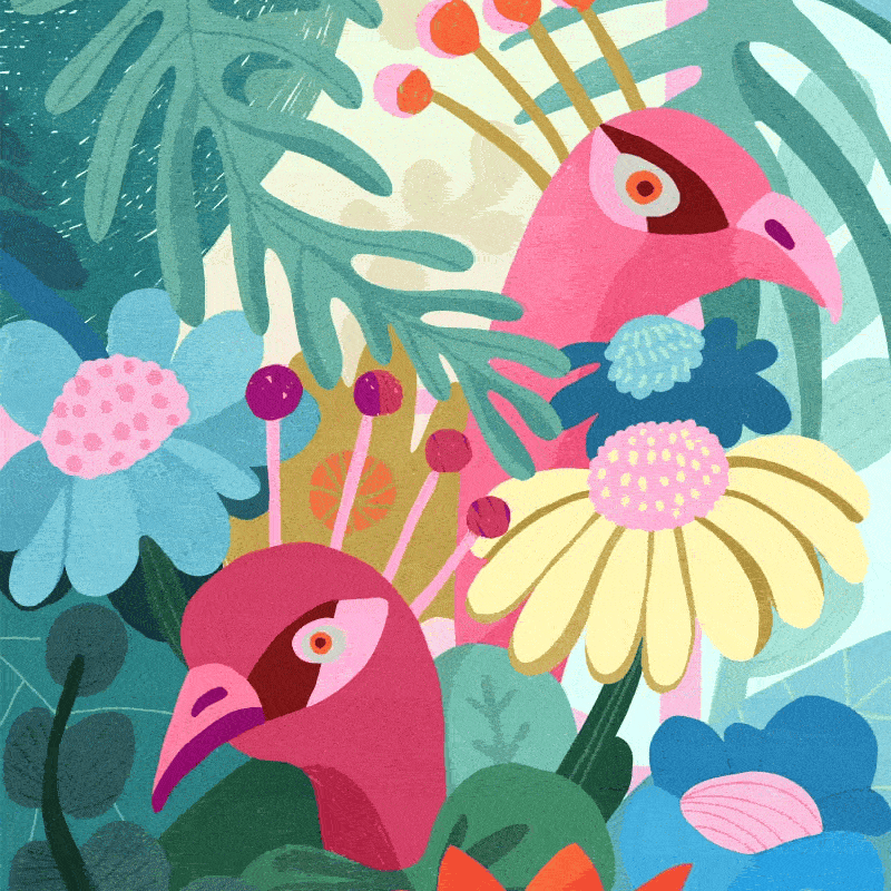 fauna flora illustration zoo by sylwia kubus
